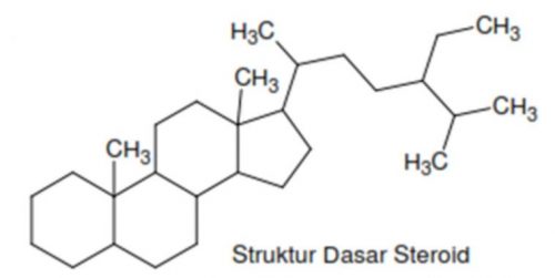 Saponin Steroid