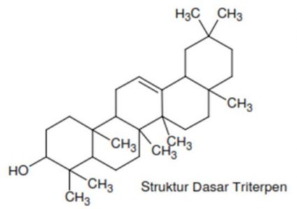 Saponin Triterpenoid