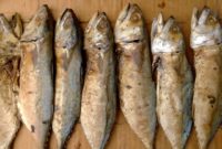 ikan asin