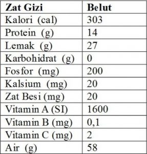 kandungan gizi belut