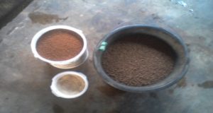 pelet ikan gurame
