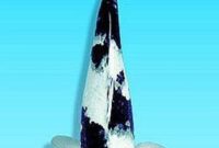Ikan Koi utsurimono