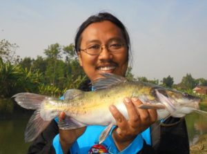ikan jendil Jenis Jenis Ikan Konsumsi air tawar Dan Gambarnya