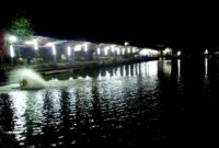 gambar [Ampuh] 6 Resep Umpan Jitu Galatama Ikan Mas di Malam Hari Selalu Strike!!!