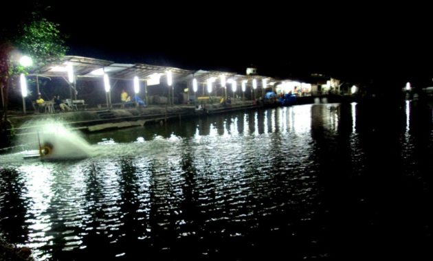 gambar [Ampuh] 6 Resep Umpan Jitu Galatama Ikan Mas di Malam Hari Selalu Strike!!!