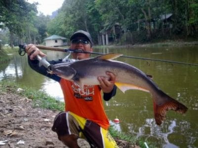 3 Racikan Umpan Jitu Mancing Ikan Patin di Kolam Harian Terbaru