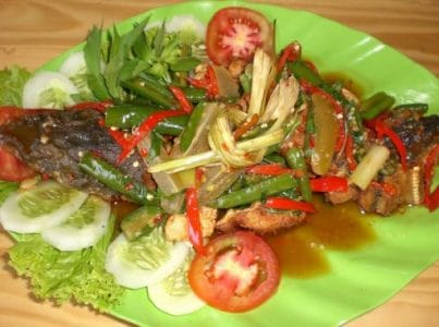 25 Manfaat Ikan Hiu Bagi Kesehatan Manusia Yang Harus Kalian Ketahui!!!!