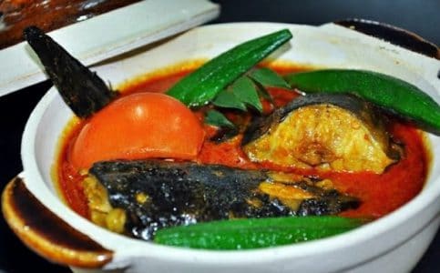 9 Manfaat Penting Ikan Sembilang Untuk Tubuh Manusia 9 Manfaat Penting Ikan Sembilang Untuk Tubuh Manusia