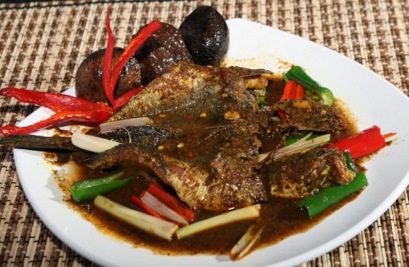 Kandungan Gizi Serta Manfaat Ikan Gabus Bagi Kesehatan Tubuh Manusia