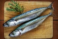 √ 42 Khasiat dan Manfaat Ikan Makarel Untuk Kesehatan Tubuh Manusia