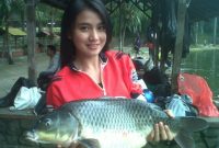 Resep Untuk Babon