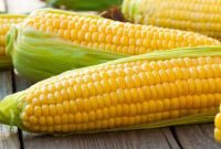 32 Jenis Jagung Unggul Serta Karakteristiknya
