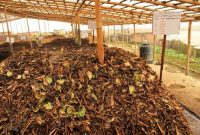 Cara Membuat Pupuk Kompos Sederhana Dari Daun Kering Dengan EM4!