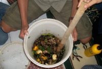 Jenis Kulit Buah Sebagai Bahan Pembuatan Pupuk Kompos Cair