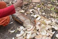 4 Cara Membuat Pupuk Organik Cair Dari Limbah Batang Pisang