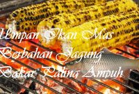 Umpan Ikan Mas Berbahan Jagung Bakar Paling Ampuh