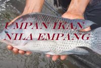 Umpan Ikan Nila Empang