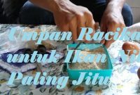 Umpan Racikan untuk Ikan Nila Paling Jitu