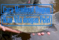Cara Membuat Umpan Ikan Nila dengan Pelet