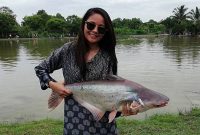 Racikan Umpan Ikan Patin Yang Gampang Dibuat